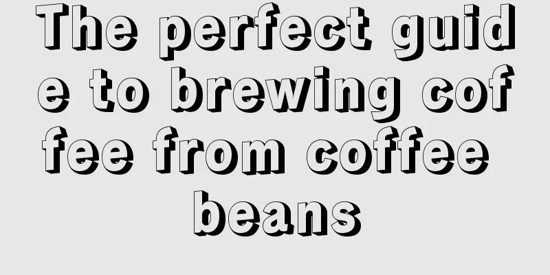 The perfect guide to brewing coffee from coffee beans
