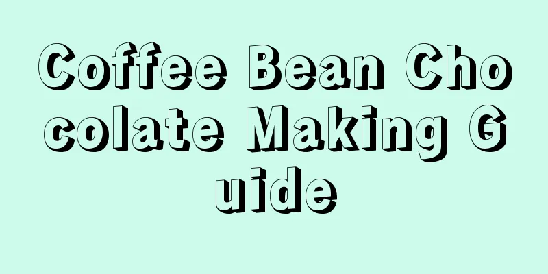 Coffee Bean Chocolate Making Guide