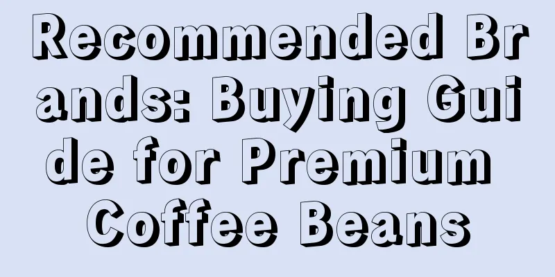 Recommended Brands: Buying Guide for Premium Coffee Beans