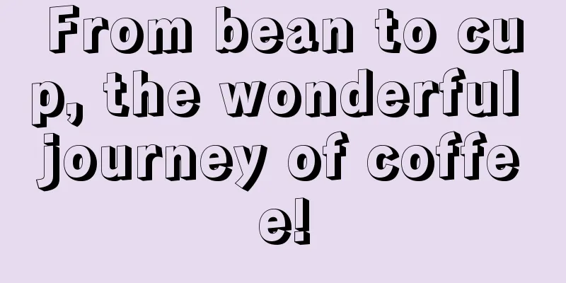 From bean to cup, the wonderful journey of coffee!