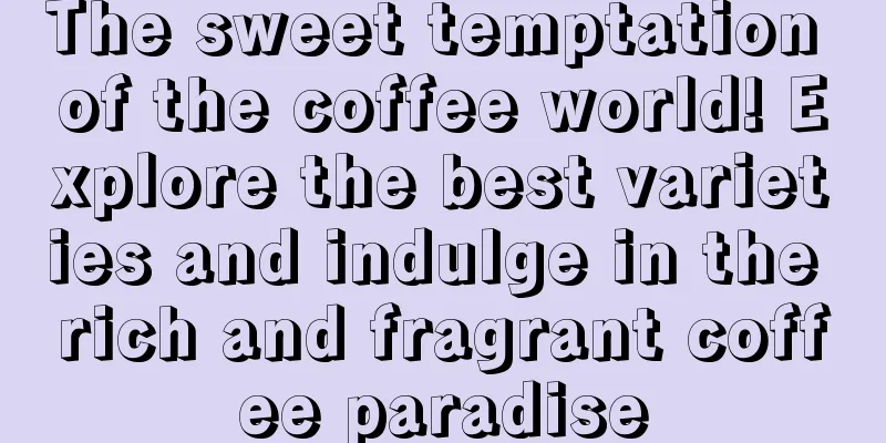 The sweet temptation of the coffee world! Explore the best varieties and indulge in the rich and fragrant coffee paradise