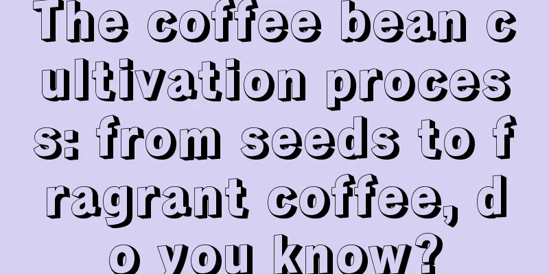 The coffee bean cultivation process: from seeds to fragrant coffee, do you know?