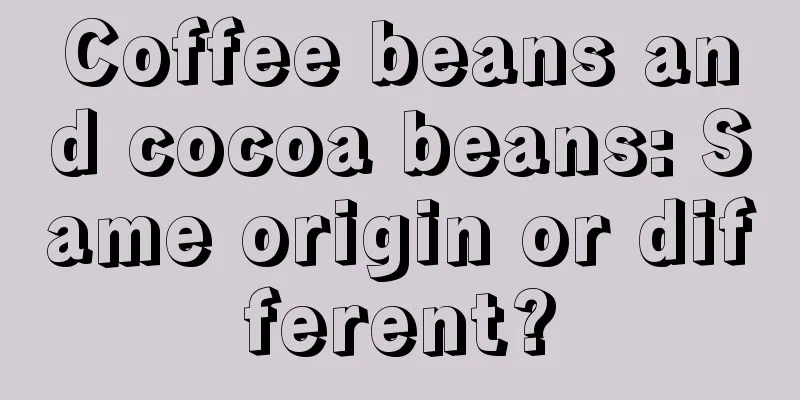 Coffee beans and cocoa beans: Same origin or different?