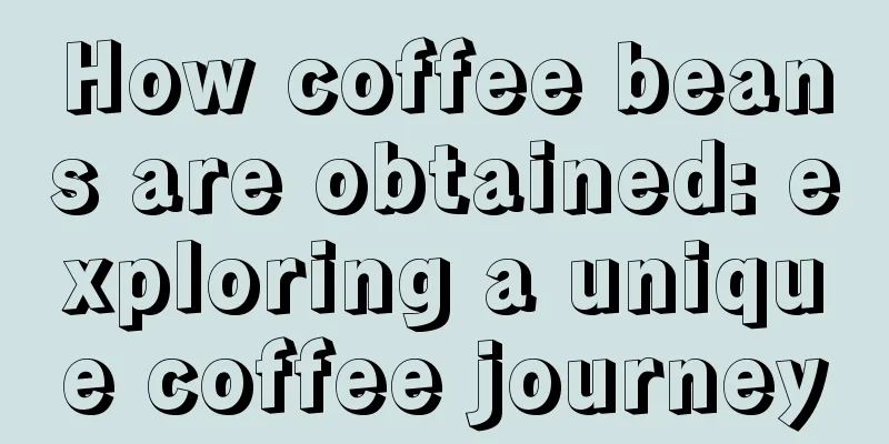 How coffee beans are obtained: exploring a unique coffee journey
