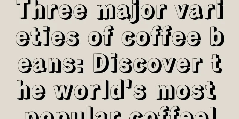 Three major varieties of coffee beans: Discover the world's most popular coffee!