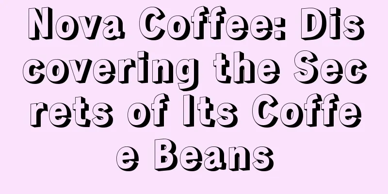 Nova Coffee: Discovering the Secrets of Its Coffee Beans
