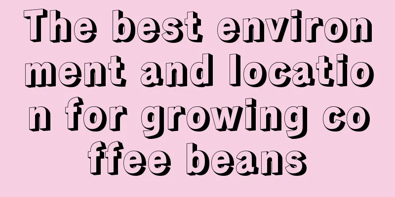 The best environment and location for growing coffee beans