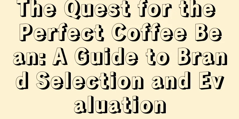 The Quest for the Perfect Coffee Bean: A Guide to Brand Selection and Evaluation