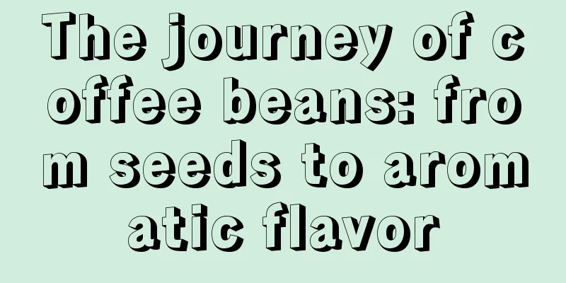 The journey of coffee beans: from seeds to aromatic flavor
