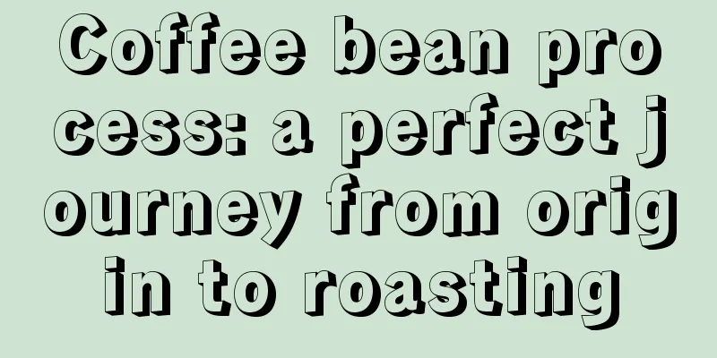 Coffee bean process: a perfect journey from origin to roasting