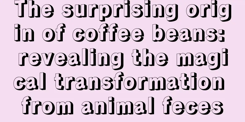 The surprising origin of coffee beans: revealing the magical transformation from animal feces