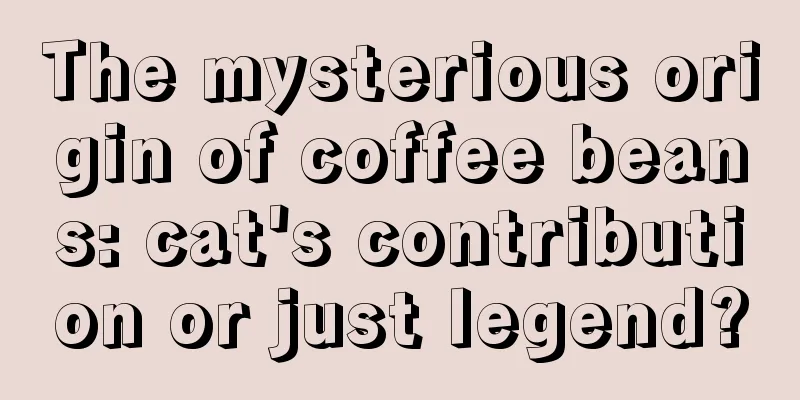 The mysterious origin of coffee beans: cat's contribution or just legend?