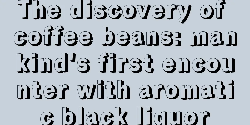 The discovery of coffee beans: mankind's first encounter with aromatic black liquor