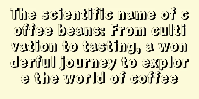 The scientific name of coffee beans: From cultivation to tasting, a wonderful journey to explore the world of coffee
