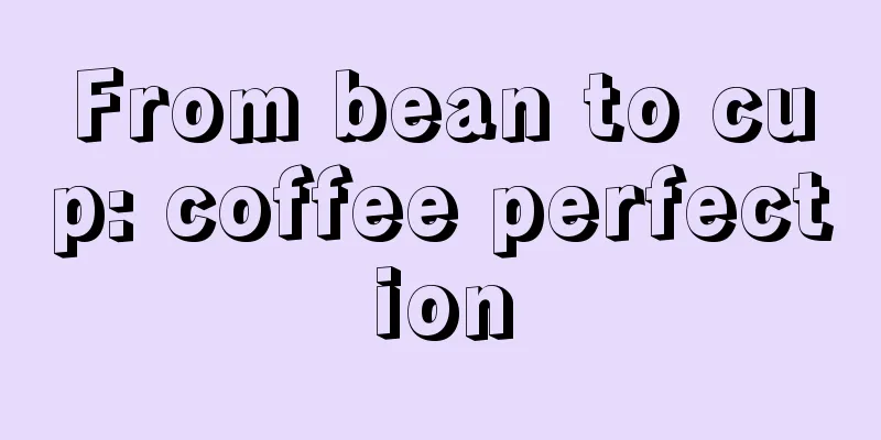 From bean to cup: coffee perfection