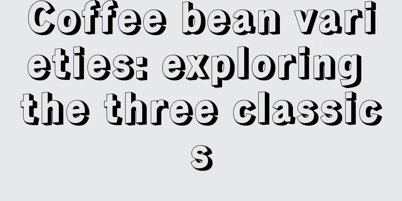 Coffee bean varieties: exploring the three classics