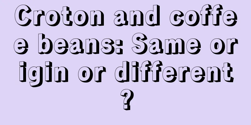 Croton and coffee beans: Same origin or different?