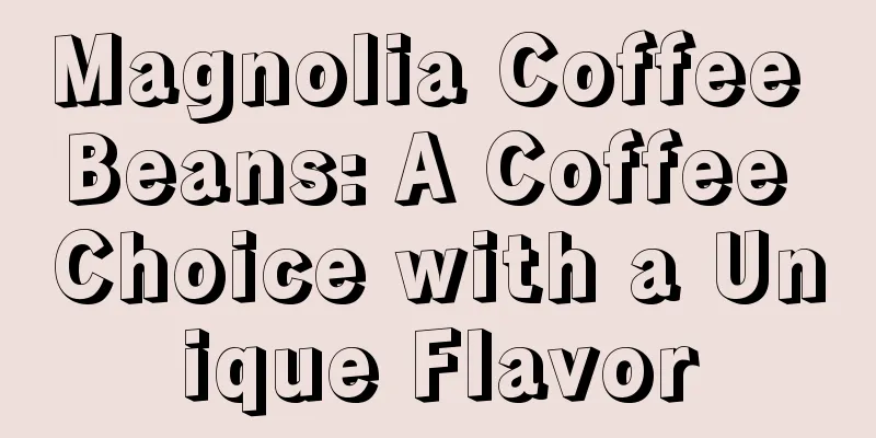 Magnolia Coffee Beans: A Coffee Choice with a Unique Flavor
