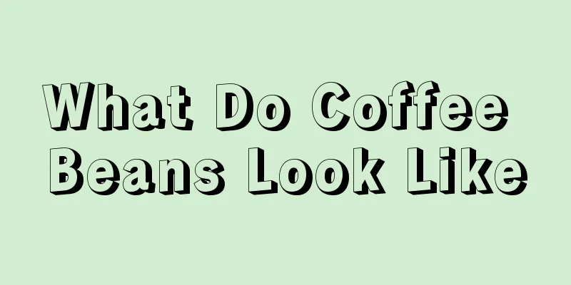 What Do Coffee Beans Look Like