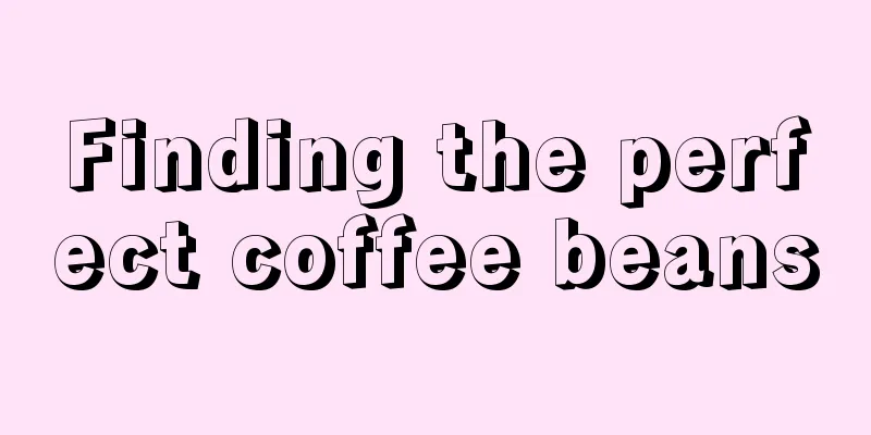 Finding the perfect coffee beans