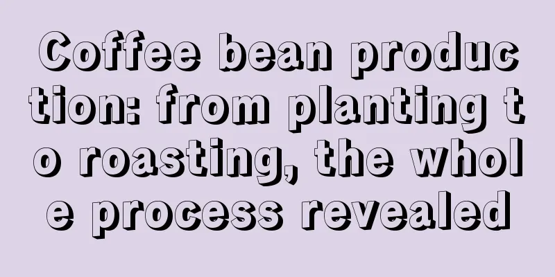 Coffee bean production: from planting to roasting, the whole process revealed