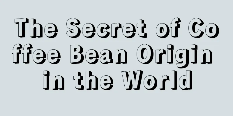The Secret of Coffee Bean Origin in the World