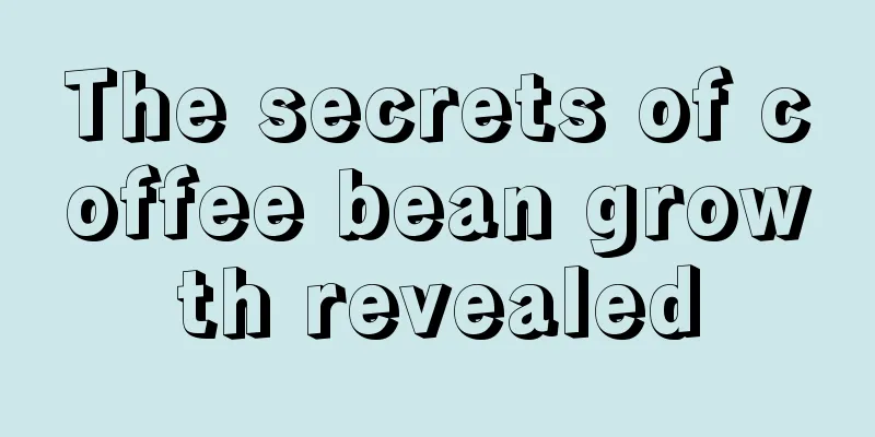 The secrets of coffee bean growth revealed
