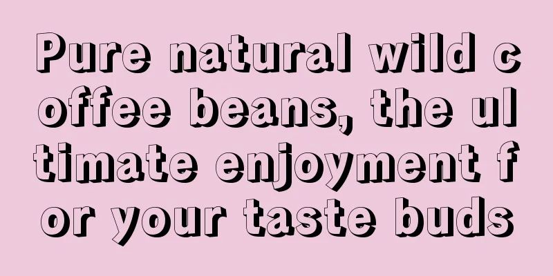 Pure natural wild coffee beans, the ultimate enjoyment for your taste buds