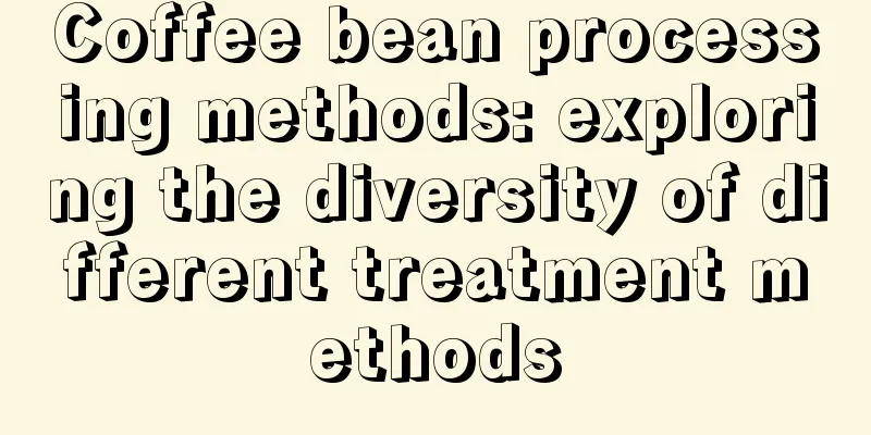 Coffee bean processing methods: exploring the diversity of different treatment methods