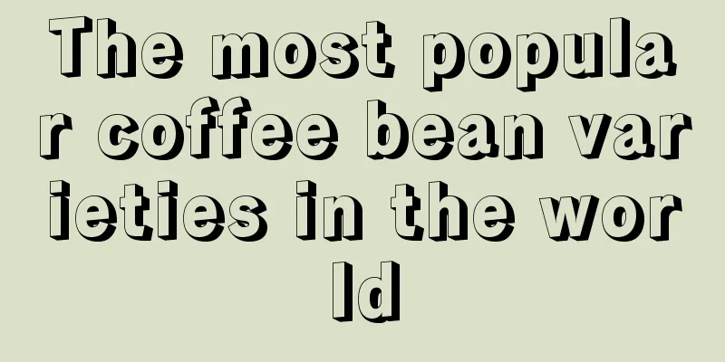 The most popular coffee bean varieties in the world