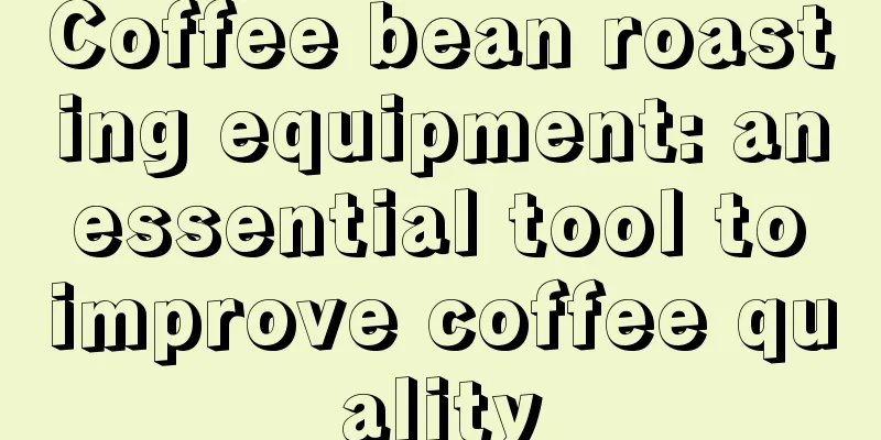 Coffee bean roasting equipment: an essential tool to improve coffee quality