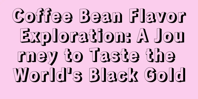 Coffee Bean Flavor Exploration: A Journey to Taste the World's Black Gold