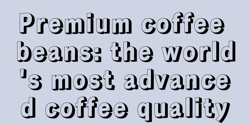 Premium coffee beans: the world's most advanced coffee quality