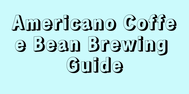 Americano Coffee Bean Brewing Guide