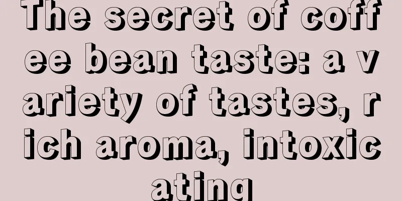 The secret of coffee bean taste: a variety of tastes, rich aroma, intoxicating