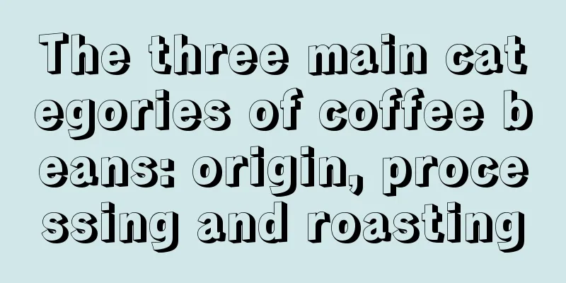 The three main categories of coffee beans: origin, processing and roasting
