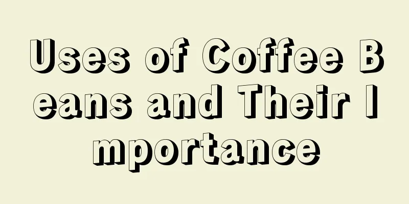 Uses of Coffee Beans and Their Importance