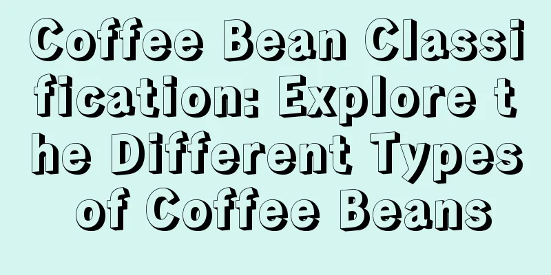 Coffee Bean Classification: Explore the Different Types of Coffee Beans