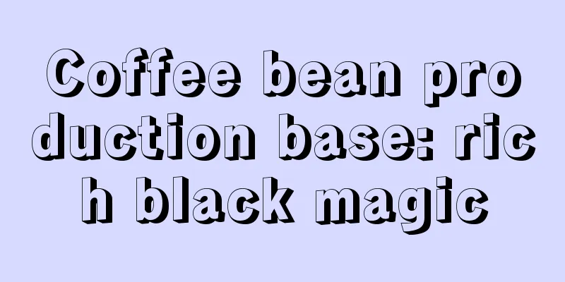 Coffee bean production base: rich black magic