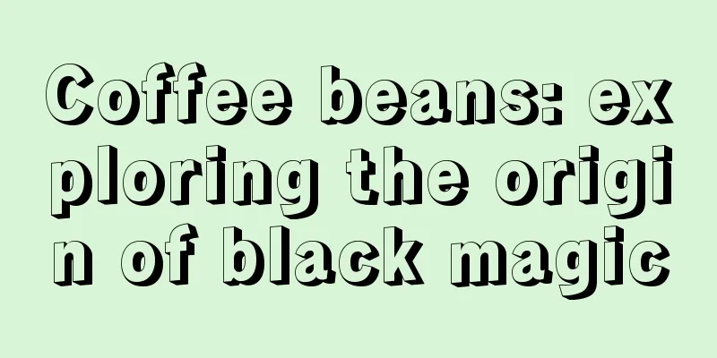Coffee beans: exploring the origin of black magic