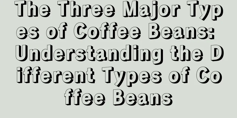 The Three Major Types of Coffee Beans: Understanding the Different Types of Coffee Beans