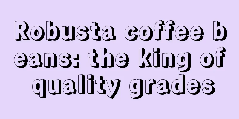 Robusta coffee beans: the king of quality grades