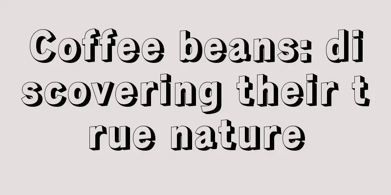 Coffee beans: discovering their true nature