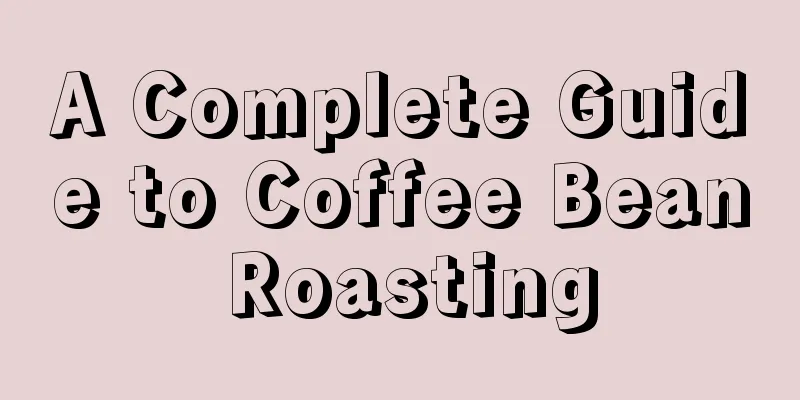 A Complete Guide to Coffee Bean Roasting