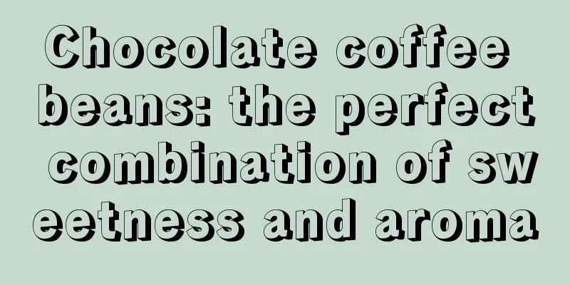 Chocolate coffee beans: the perfect combination of sweetness and aroma