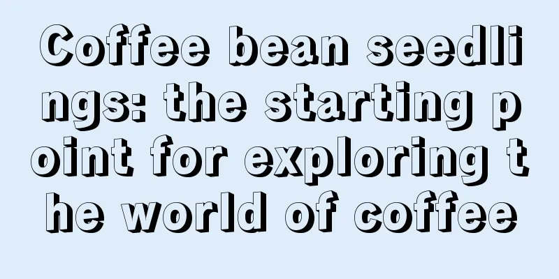 Coffee bean seedlings: the starting point for exploring the world of coffee