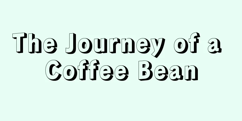 The Journey of a Coffee Bean