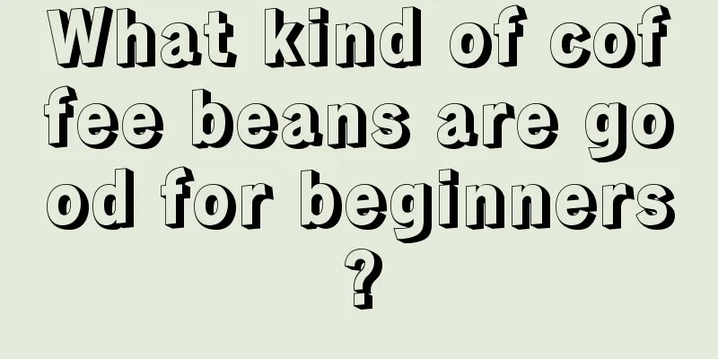 What kind of coffee beans are good for beginners?
