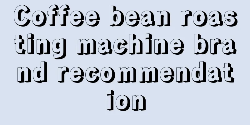 Coffee bean roasting machine brand recommendation