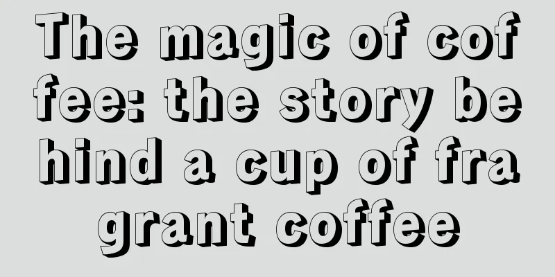 The magic of coffee: the story behind a cup of fragrant coffee